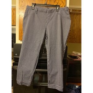 Faded Glory Womens XL Blue White Striped Pull On Stretch Straight Leg Pants